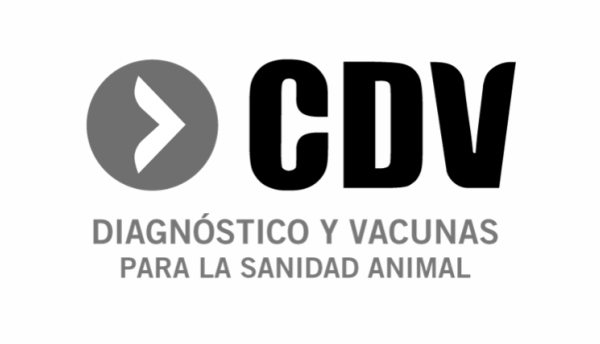 CDV